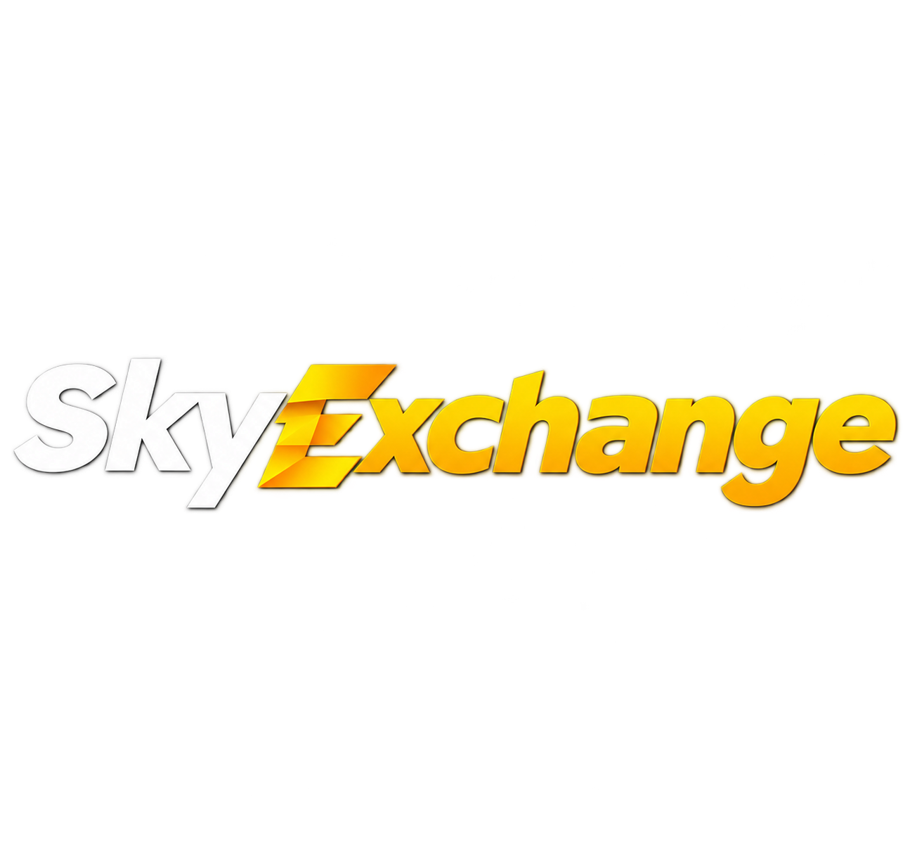 Skyexchange Logo